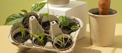 site-front-view-vegetables.jpg -